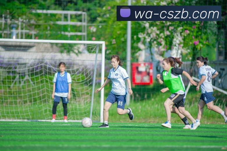 彩神争霸平台生态图